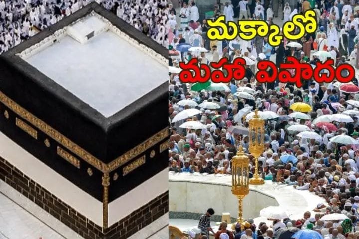 IMG-20240620-WA0059-1