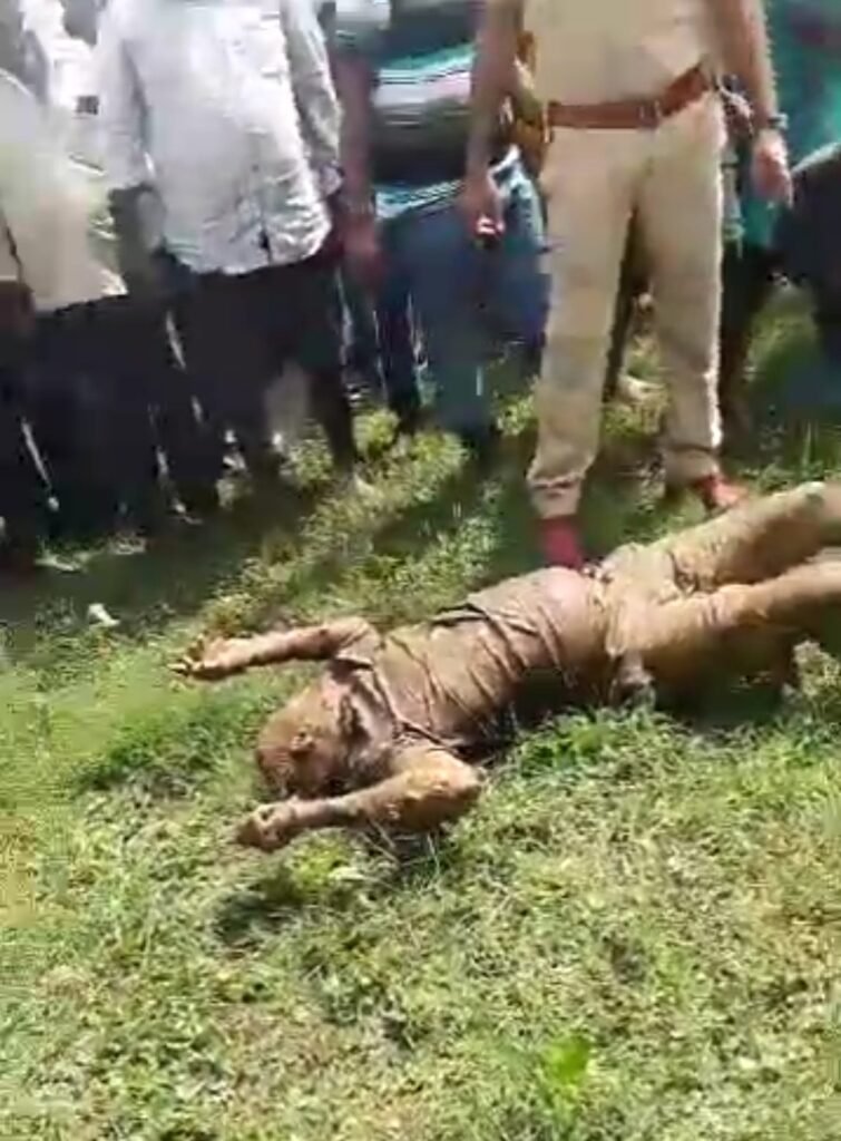 Screenshot_20240702-132839_WhatsApp