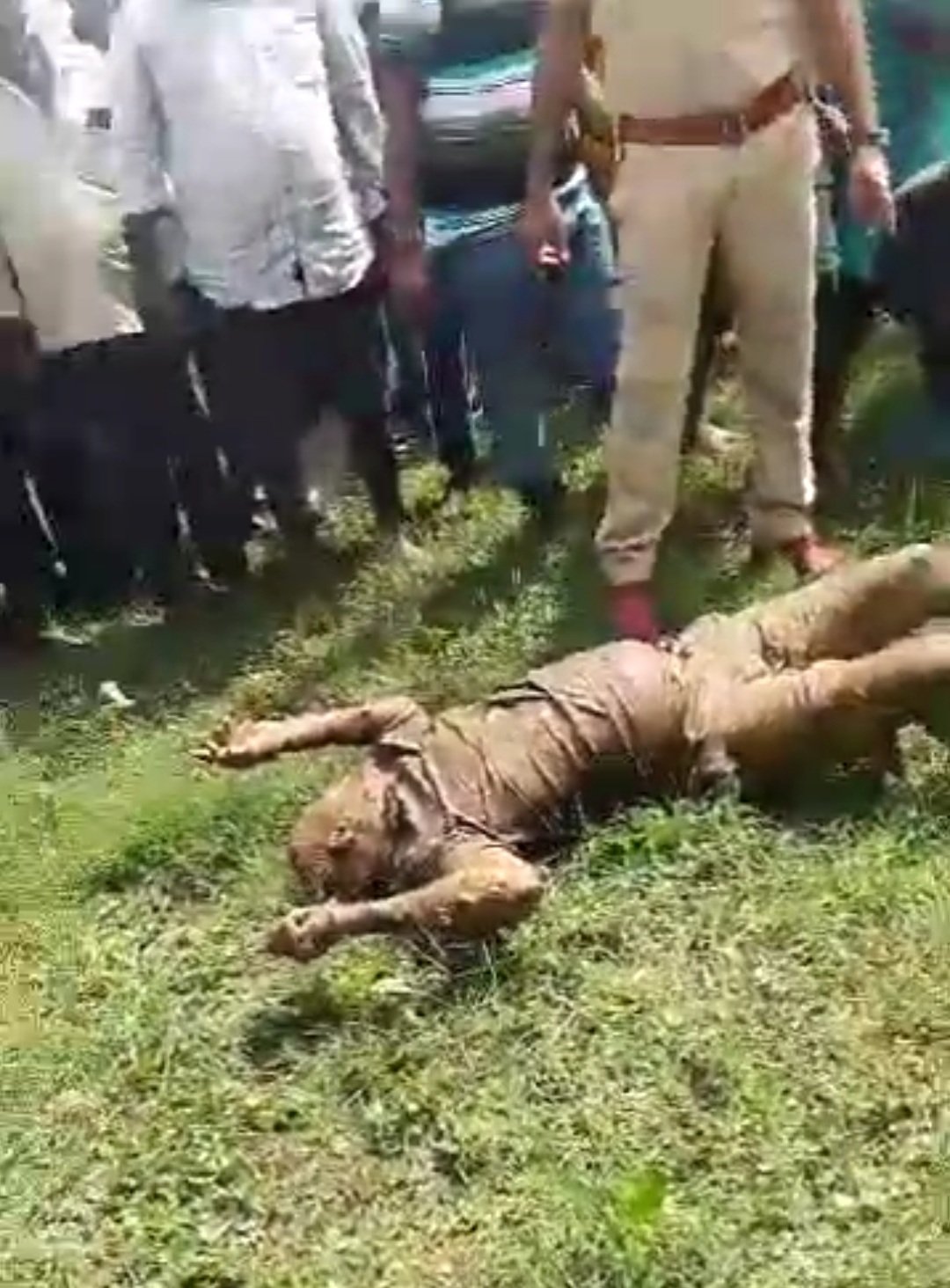 Screenshot_20240702-132839_WhatsApp