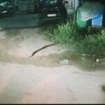 Oplus_16908288